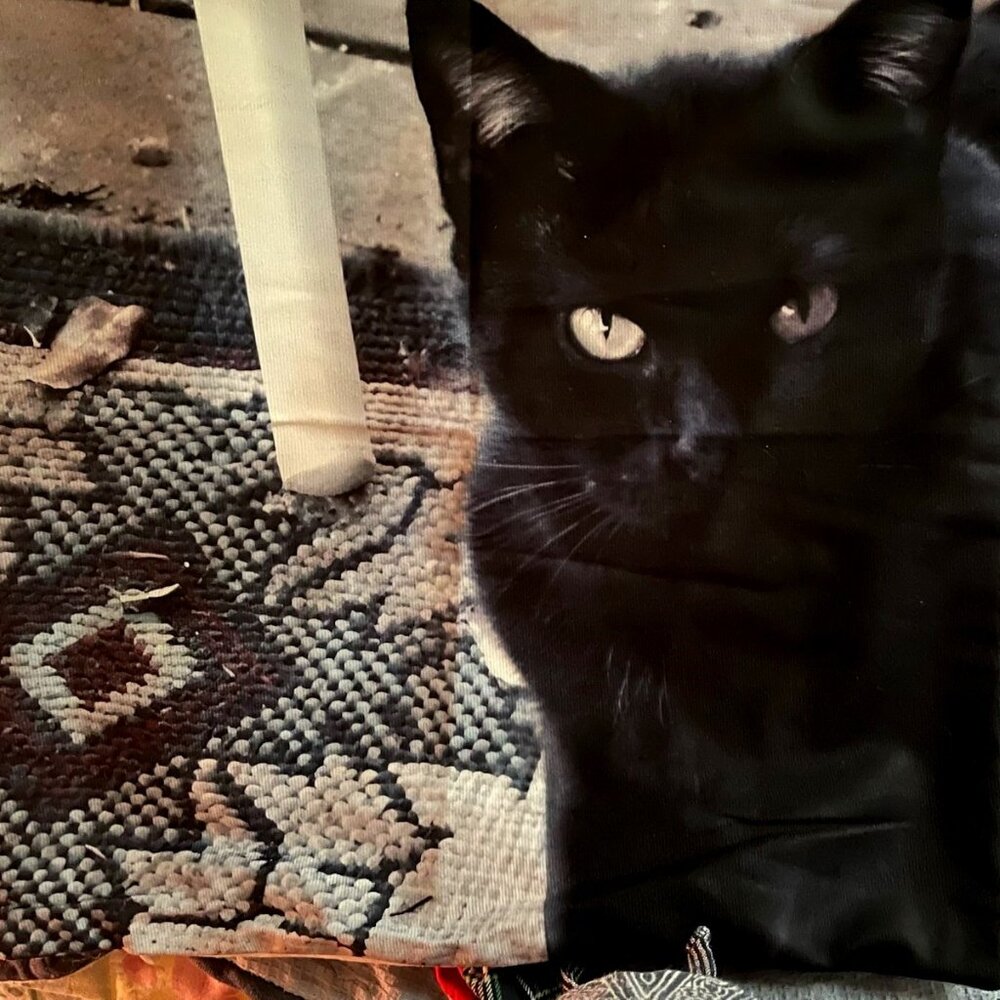 MUGSEY MALONE BLACK CAT PILLOW COVER